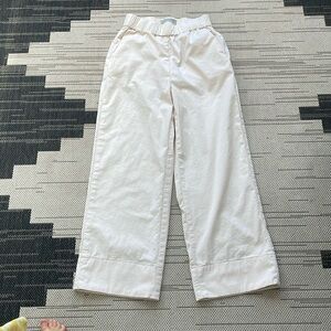 Everlane High Waist Crop Wide Leg Pant